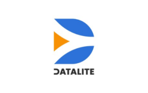 Logo Datalite